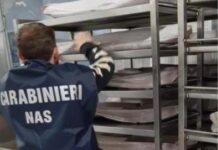 Ispezione dei Nas nella mensa ospedaliera: accertate carenze igienico sanitarie