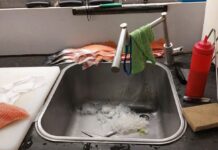 Ristorante etnico di Monopoli, attività sospesa: il video dell’operazione