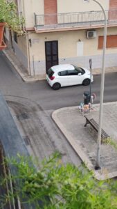 bidoni2