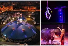 Torna il circo a Monopoli, l’organizzazione: “Il sogno africano con attrazioni esotiche e acquatiche”