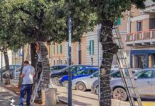 Monopoli, le luminarie di Natale. Spegnimento a mezzanotte per il caro energia