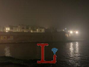 nebbia 88
