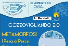 Metamorfosi a Monopoli, da domani in mostra i pesci di Pesce in Rendella