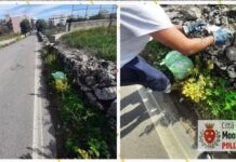 Monopoli, lanciano i sacchetti, ma nelle buste ci sono le bollette: pizzicati 4 sporcaccioni