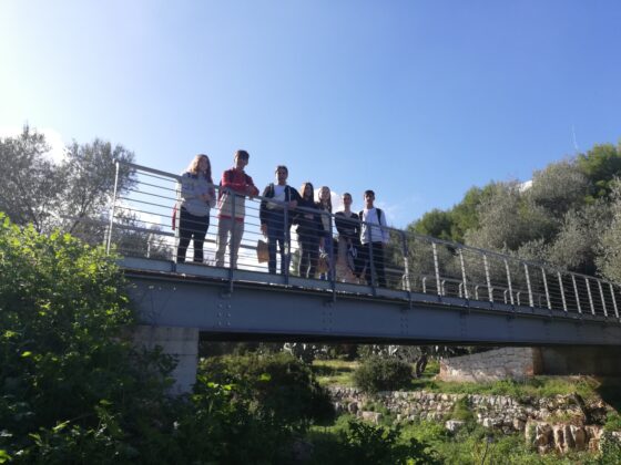 IMG 20221107 122525