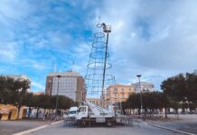 Monopoli, l’albero di luci è quasi pronto. Sabato l’accensione in piazza