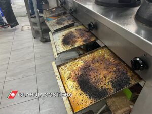 eZy Watermark 25 11 2022 05 20 29PM