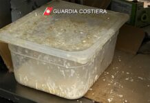 Scarsa igiene nel ristorante etnico, disposta l’immediata sospensione di un’altra attivitÃ