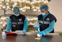 Intossicazione da Listeria, i Nas sequestrano carne, gamberi e formaggi