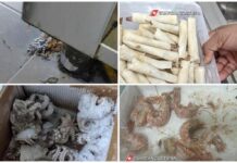 Monopoli, attività sospesa per un altro ristorante etnico. Sanzioni da 4mila e 500 euro