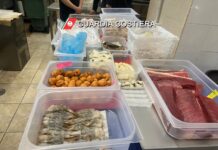 Monopoli, violazioni in un altro ristorante etnico: sequestrato mezzo quintale di prodotti