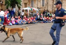Addio a King, il cane poliziotto che anche a Monopoli fiutava la droga