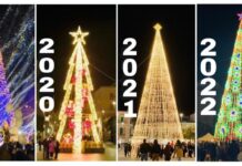 Monopoli, l’albero di Natale in piazza: luci e colori raccontano gli ultimi 4 anni