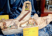 Il presepe nel tronco con la Madia: l’opera del monopolitano Luigi Sorino in Vaticano