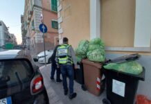 Monopoli, differenziata sotto la lente: 11 sanzioni in una sola mattinata