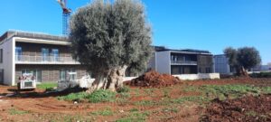 NUOVO OSPEDALE 5