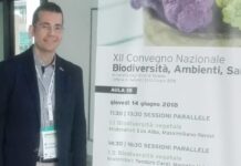 Il prof di Monopoli Massimiliano Renna tra i migliori scienziati al mondo