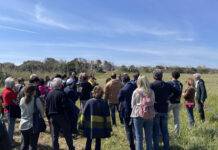 I trulletti di Costa Ripagnola diventano cellule alberghiere, la Serim: “Ecco il nostro progetto turistico”