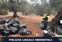 Monopoli, imprenditore denunciato: 37 bustoni di rifiuti pericolosi tra gli ulivi