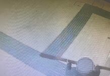 Sradica un tronco e devasta il bar della Stazione per non pagare. Arrestato 28enne