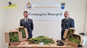 finanza2