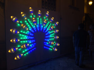 Pavone Lumen 2023