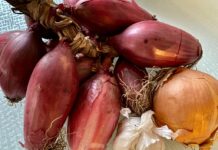 Maturità , Coldiretti: ecco la dieta “salva esami”. Ci sono anche aglio e cipolla