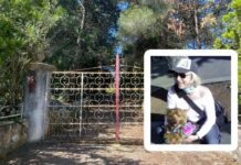 Monopoli, ai domiciliari l’uomo che ha investito e ucciso la figlia
