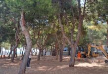 Monopoli, Iaia: “Parte la riqualificazione della pineta di via Sibilla: pista walking, fitness e luci”
