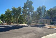 Via Grandi, “pineta devastata e lavori interrotti: 1milione e mezzo per un’area che stava meglio prima”
