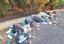 Monopoli, iniziati gli interventi di rimozione dei rifiuti sui cigli delle strade provinciali