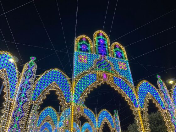 festa madia 77