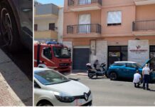 Monopoli, serpente nell’auto: Vigili del Fuoco e Polizia Locale in azione in via Lepanto