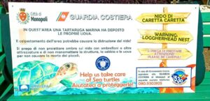 tartaruga 222