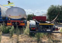 Monopoli, tra gli ulivi secolari un parcheggio di rimorchi: area sequestrata e proprietario denunciato