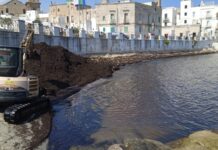 Monopoli, posidonia alla Portavecchia: lavoro in spiaggia concluso