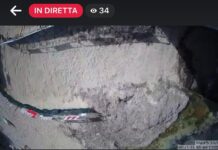 Tartarughe, in diretta dal Capitolo la schiusa delle uova: già attive le telecamere