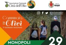 Camminata tra gli Olivi, a Monopoli un’esperienza per scoprire il paesaggio di una civiltà millenaria