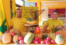 Zucca: dalla padella all’intaglio per Halloween. Pumpkin patch la nuova tendenza