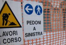 Monopoli, censimento del verde: partito l’abbattimento degli alberi con criticitÃ