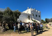 “Camminata tra gli olivi” di Masseria Caramanna, oggi l’evento nella natura