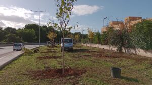 Alberi 2023 01