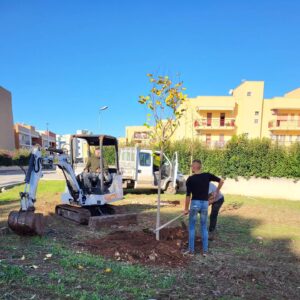 Alberi 2023 02