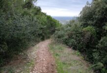 Ripensare il territorio: dal pellegrinaggio medievale ai moderni “cammini”: una conferenza ed una escursione