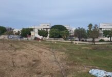Ripulita l’area verde di fronte alla via Traiana. L’intervento dopo il dissequestro dell’area