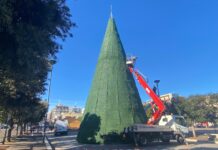 Monopoli, comincia il Natale: sabato grande cerimonia di accensione dell’albero