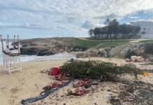 Monopoli, abbattuto per il maltempo l’albero di Natale a Porto Rosso