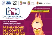 Monopoli, oggi la premiazione del contest fotografico e la presentazione del calendario del canile