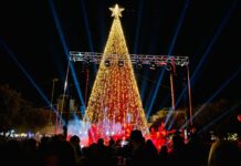 Monopoli, si accende il Natale. Ecco l’albero di luci in piazza