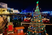 Monopoli e l’albero che brilla sul mare: al porto il Natale dei pescatori